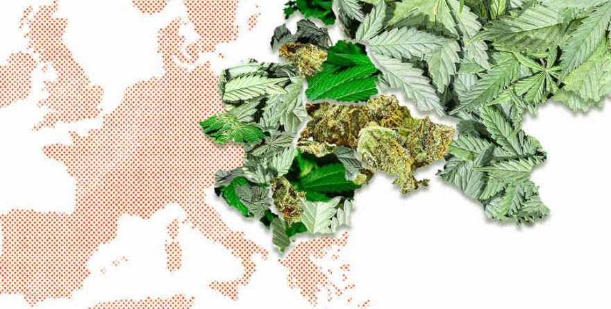 marihuana medyczna w unii europejskiej