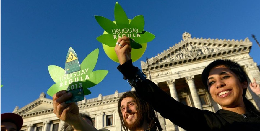 Legalizacja marihuany w Urugwaju