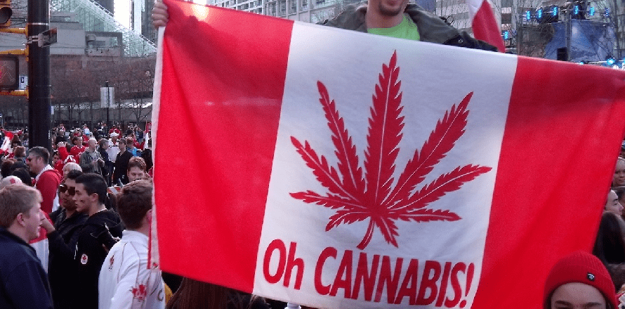 Flaga Kanady z marihuaną