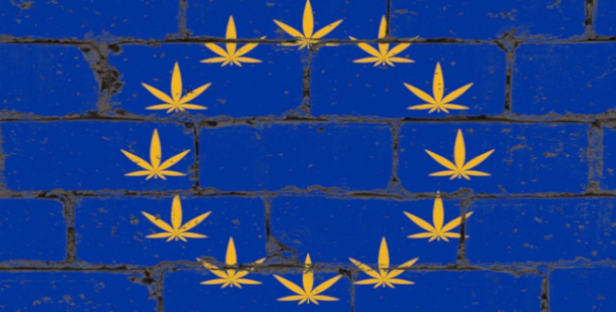 Flaga Unii Europejskiej z konopiami