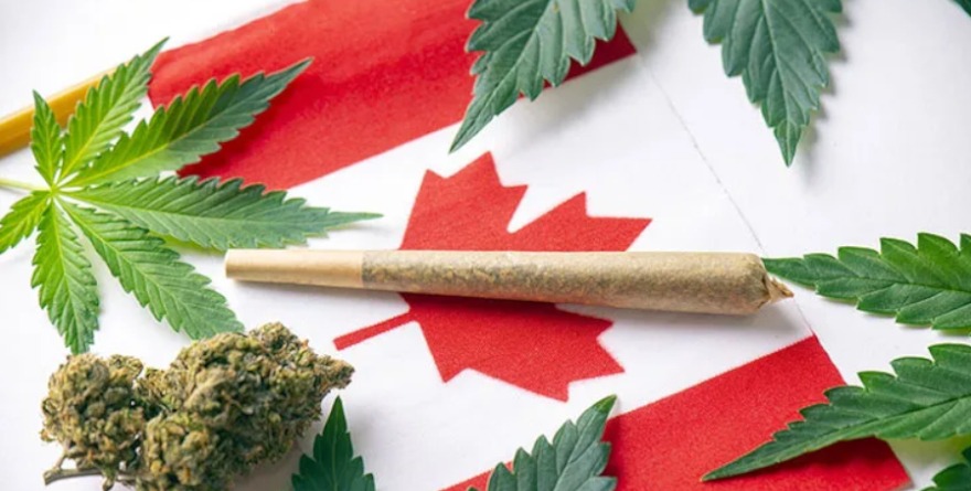 marihuana i joint na tle flagi Kanady