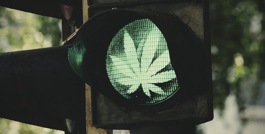 Zielone światło dla marihuany