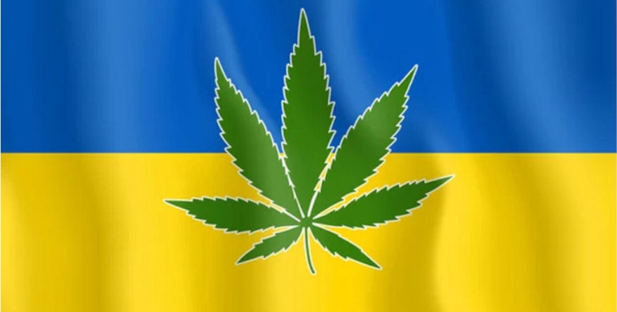 Flaga Ukrainy z liściem konopi